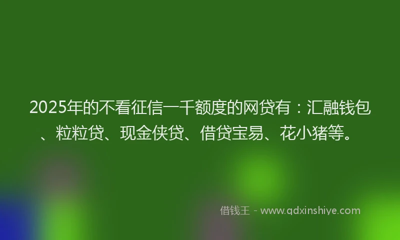 2025年的不看征信一千额度的网贷有：汇融钱包、粒粒贷、现金侠贷、借贷宝易、花小猪等。