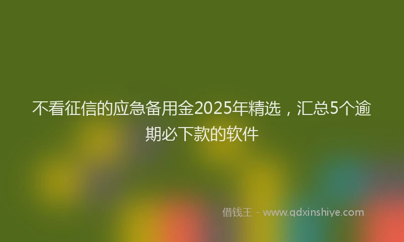 不看征信的应急备用金2025年精选，汇总5个逾期必下款的软件