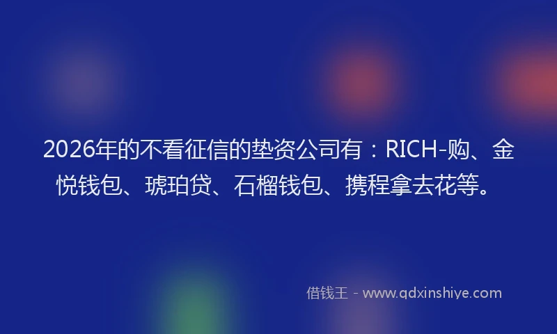 2026年的不看征信的垫资公司有：RICH-购、金悦钱包、琥珀贷、石榴钱包、携程拿去花等。