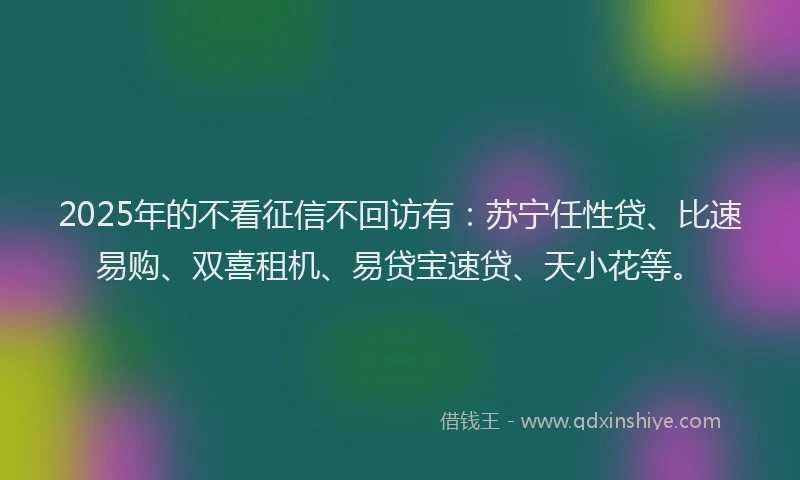 2025年的不看征信不回访有：苏宁任性贷、比速易购、双喜租机、易贷宝速贷、天小花等。