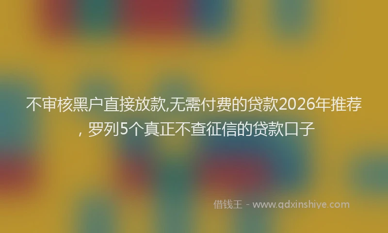 不审核黑户直接放款,无需付费的贷款2026年推荐，罗列5个真正不查征信的贷款口子