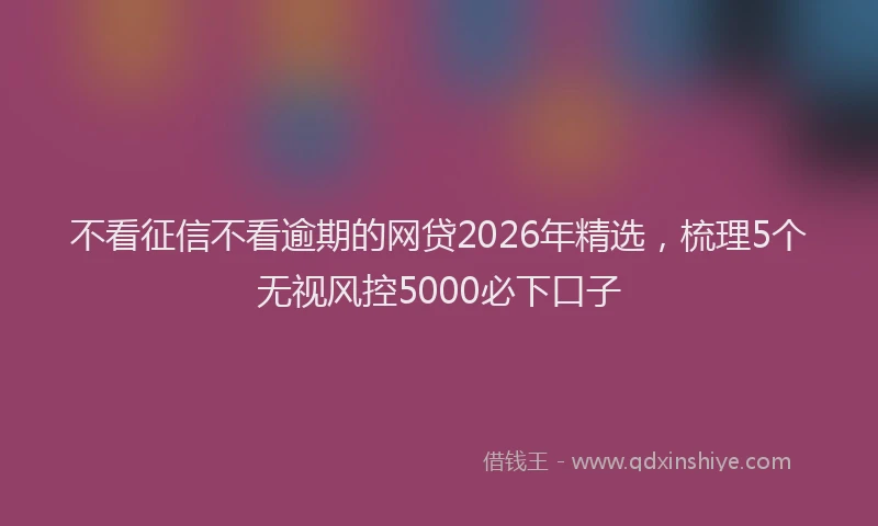 不看征信不看逾期的网贷2026年精选,梳理5个无视风控5000必下口子