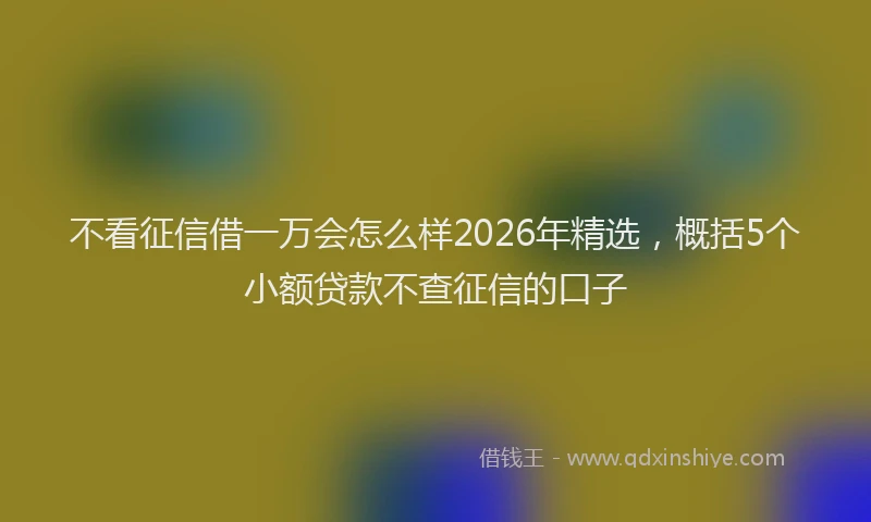 不看征信借一万会怎么样2026年精选，概括5个小额贷款不查征信的口子