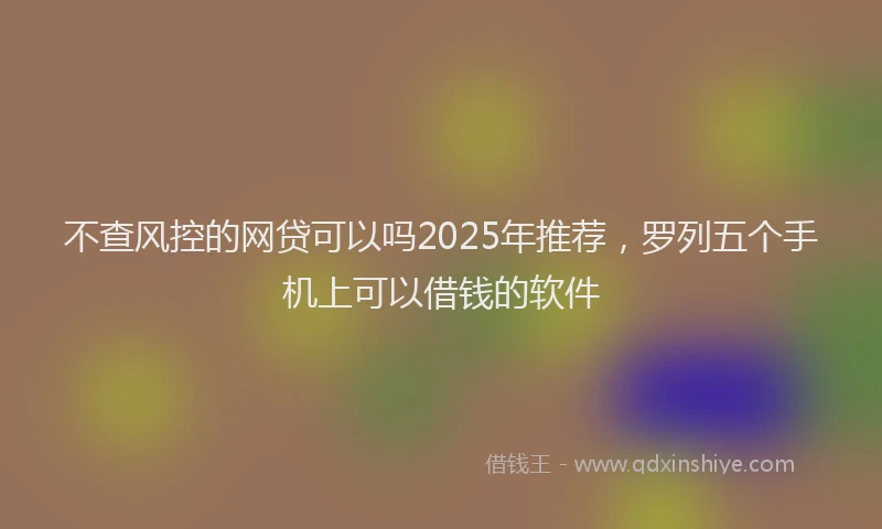 不查风控的网贷可以吗2025年推荐，罗列五个手机上可以借钱的软件