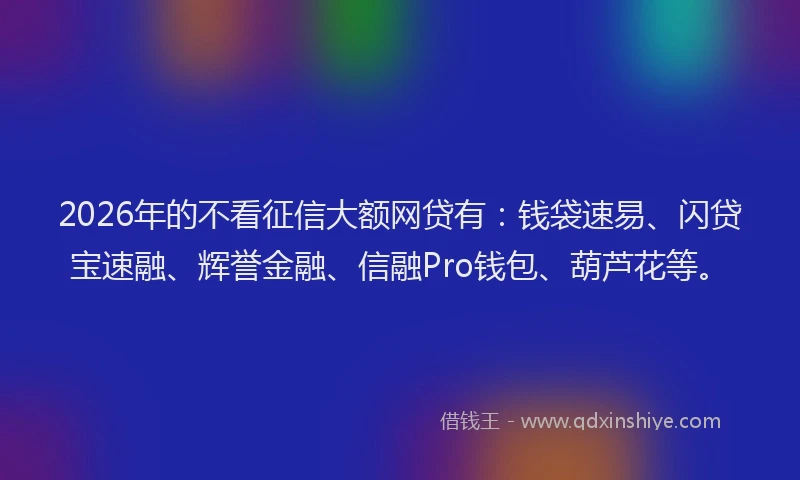 2026年的不看征信大额网贷有：钱袋速易、闪贷宝速融、辉誉金融、信融Pro钱包、葫芦花等。