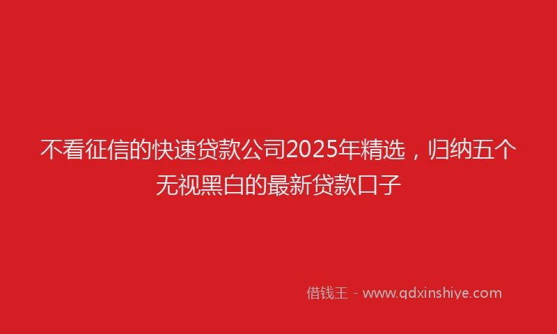 不看征信的快速贷款公司2025年精选，归纳五个无视黑白的最新贷款口子