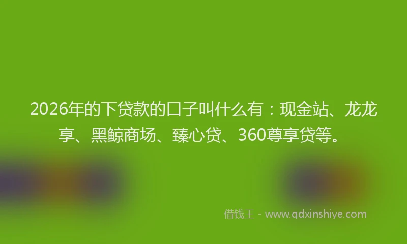 2026年的下贷款的口子叫什么有：现金站、龙龙享、黑鲸商场、臻心贷、360尊享贷等。