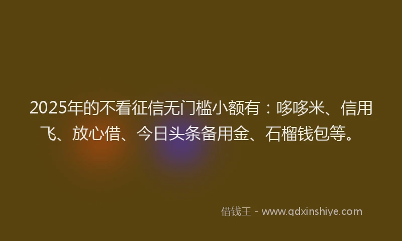 2025年的不看征信无门槛小额有:哆哆米、信用飞、放心借、今日头条备用金、石榴钱包等。