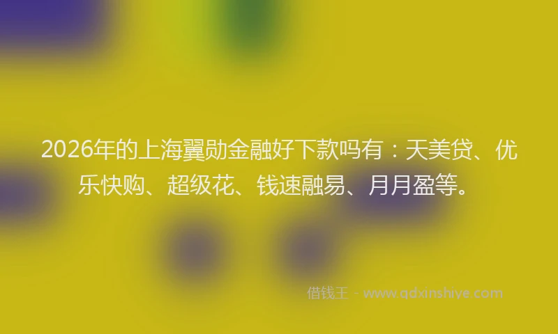 2026年的上海翼勋金融好下款吗有:天美贷、优乐快购、超级花、钱速融易、月月盈等。