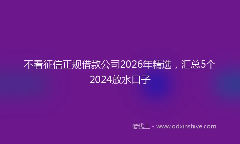 不看征信正规借款公司2026年精选，汇总5个2024放水口子
