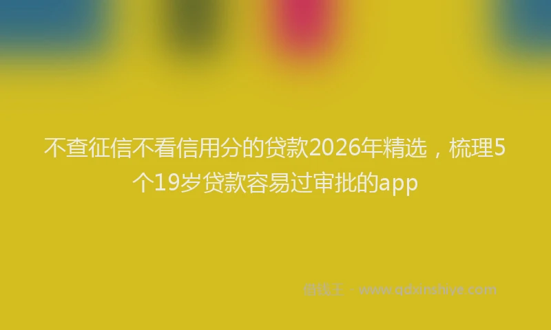 不查征信不看信用分的贷款2026年精选，梳理5个19岁贷款容易过审批的app