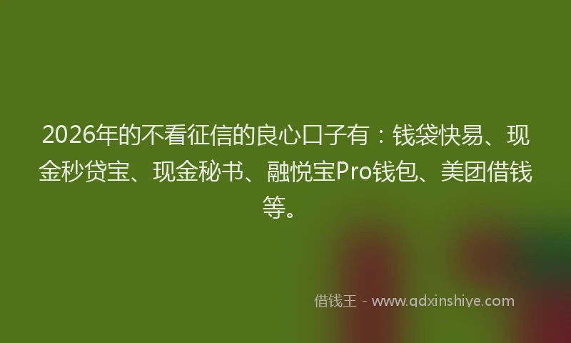 2026年的不看征信的良心口子有:钱袋快易、现金秒贷宝、现金秘书、融悦宝Pro钱包、美团借钱等。