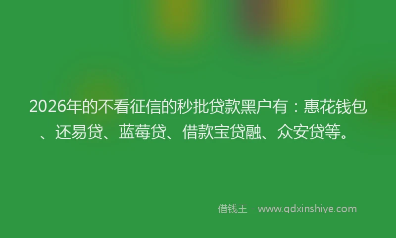 2026年的不看征信的秒批贷款黑户有：惠花钱包、还易贷、蓝莓贷、借款宝贷融、众安贷等。