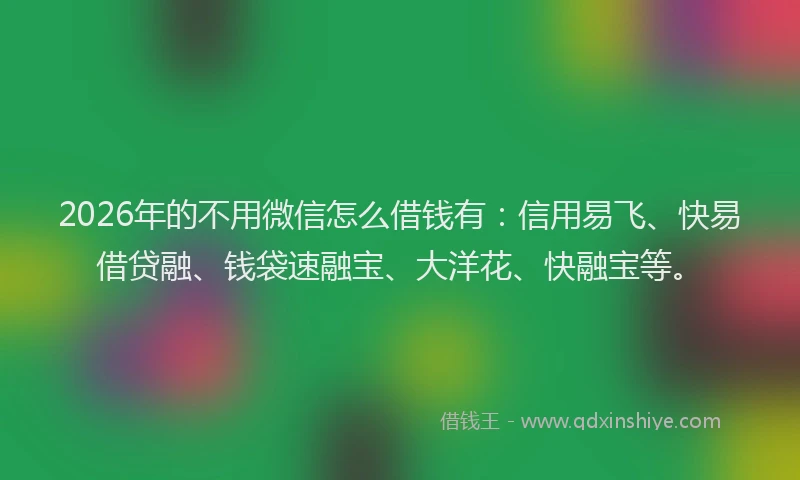 2026年的不用微信怎么借钱有：信用易飞、快易借贷融、钱袋速融宝、大洋花、快融宝等。