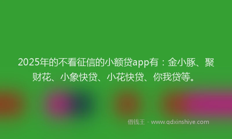 2025年的不看征信的小额贷app有：金小豚、聚财花、小象快贷、小花快贷、你我贷等。