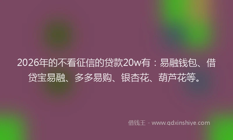 2026年的不看征信的贷款20w有：易融钱包、借贷宝易融、多多易购、银杏花、葫芦花等。