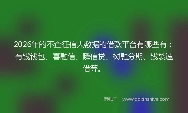 2026年的不查征信大数据的借款平台有哪些有：有钱钱包、喜融信、瞬信贷、树融分期、钱袋速借等。
