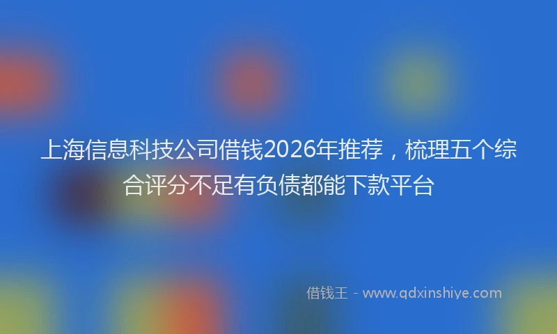 上海信息科技公司借钱2026年推荐，梳理五个综合评分不足有负债都能下款平台