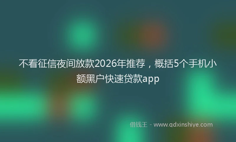 不看征信夜间放款2026年推荐，概括5个手机小额黑户快速贷款app