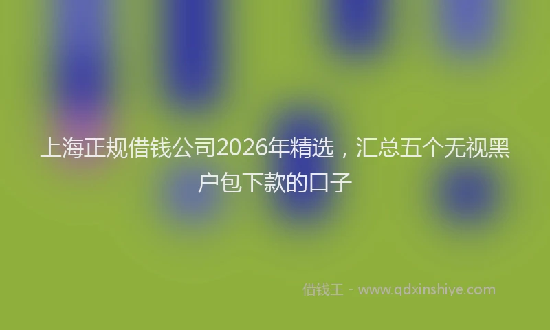 上海正规借钱公司2026年精选,汇总五个无视黑户包下款的口子