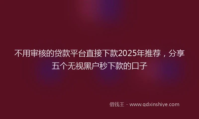 不用审核的贷款平台直接下款2025年推荐，分享五个无视黑户秒下款的口子