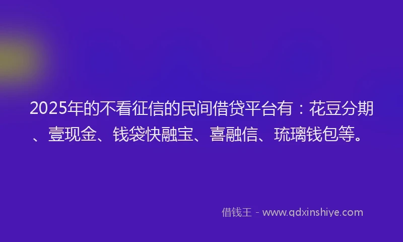 2025年的不看征信的民间借贷平台有：花豆分期、壹现金、钱袋快融宝、喜融信、琉璃钱包等。