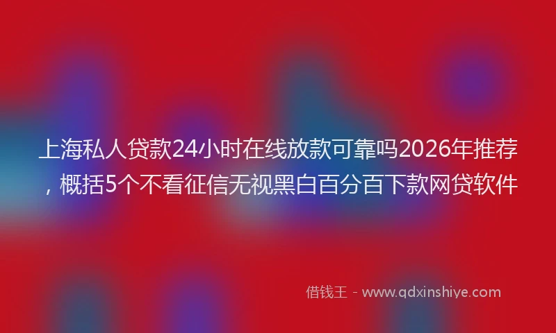 上海私人贷款24小时在线放款可靠吗2026年推荐，概括5个不看征信无视黑白百分百下款网贷软件