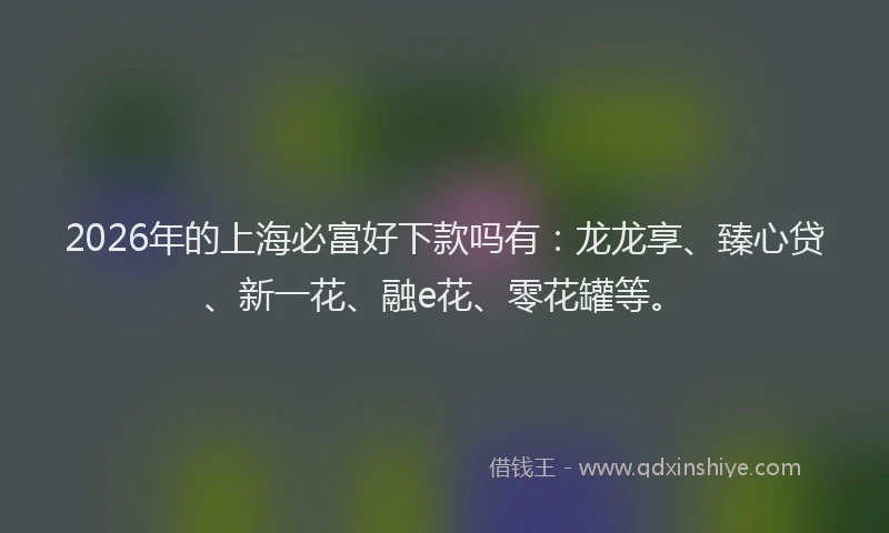 2026年的上海必富好下款吗有：龙龙享、臻心贷、新一花、融e花、零花罐等。