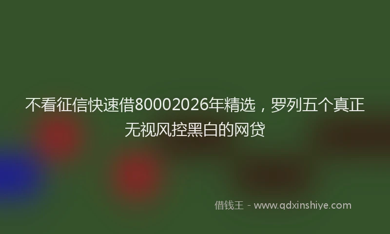不看征信快速借80002026年精选，罗列五个真正无视风控黑白的网贷