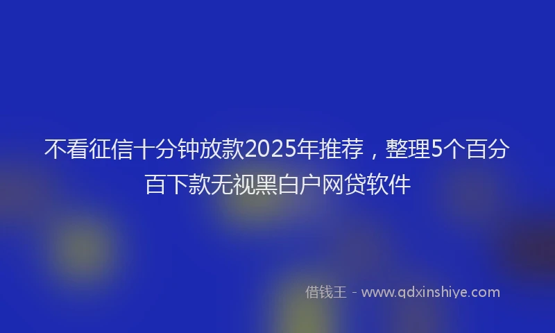 不看征信十分钟放款2025年推荐，整理5个百分百下款无视黑白户网贷软件
