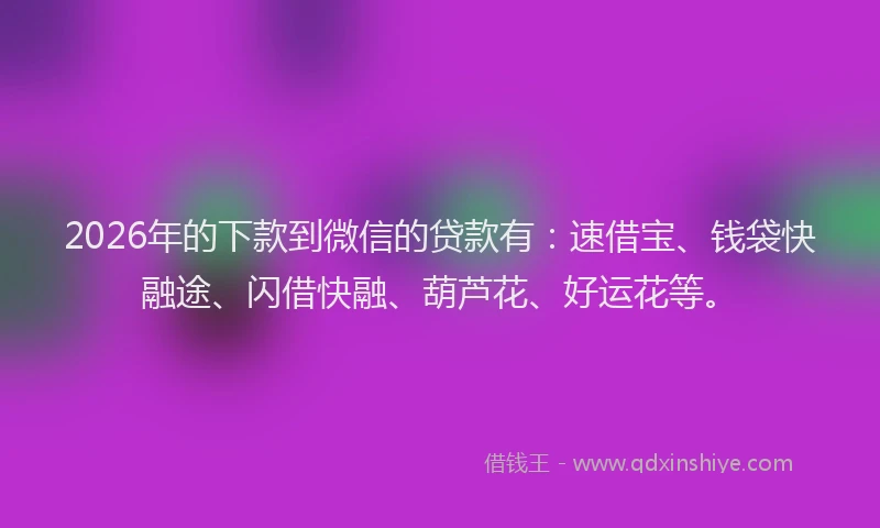 2026年的下款到微信的贷款有：速借宝、钱袋快融途、闪借快融、葫芦花、好运花等。