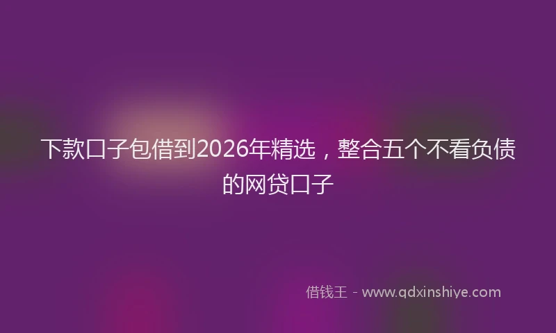 下款口子包借到2026年精选，整合五个不看负债的网贷口子