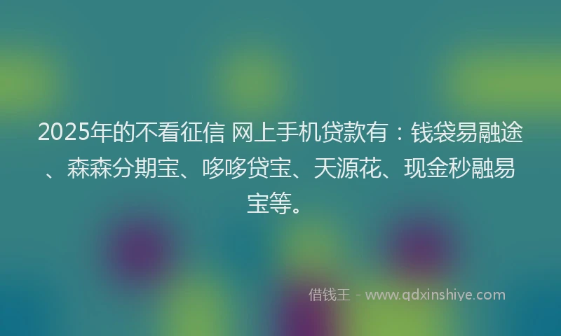2025年的不看征信 网上手机贷款有：钱袋易融途、森森分期宝、哆哆贷宝、天源花、现金秒融易宝等。