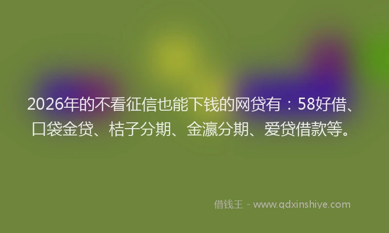 2026年的不看征信也能下钱的网贷有:58好借、口袋金贷、桔子分期、金瀛分期、爱贷借款等。