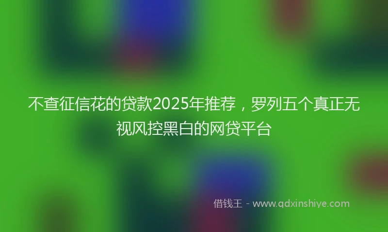 不查征信花的贷款2025年推荐，罗列五个真正无视风控黑白的网贷平台