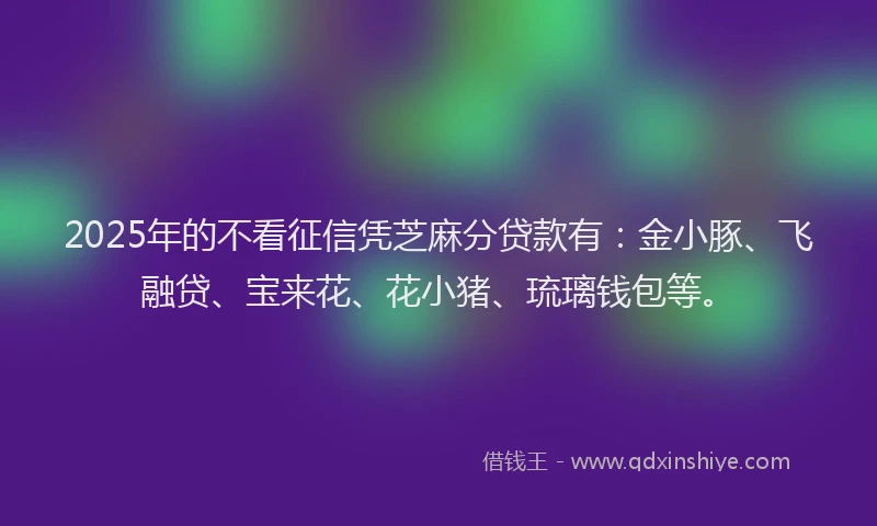 2025年的不看征信凭芝麻分贷款有：金小豚、飞融贷、宝来花、花小猪、琉璃钱包等。