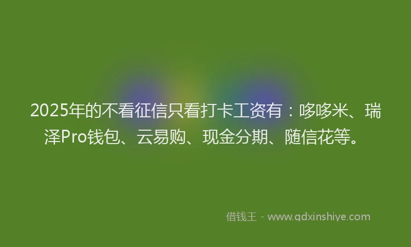 2025年的不看征信只看打卡工资有：哆哆米、瑞泽Pro钱包、云易购、现金分期、随信花等。