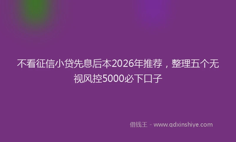 不看征信小贷先息后本2026年推荐，整理五个无视风控5000必下口子