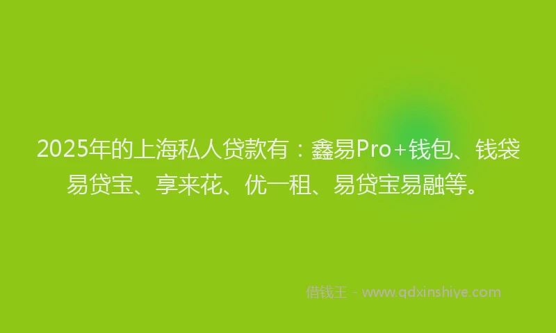 2025年的上海私人贷款有：鑫易Pro+钱包、钱袋易贷宝、享来花、优一租、易贷宝易融等。