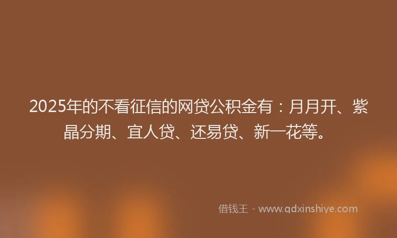 2025年的不看征信的网贷公积金有：月月开、紫晶分期、宜人贷、还易贷、新一花等。