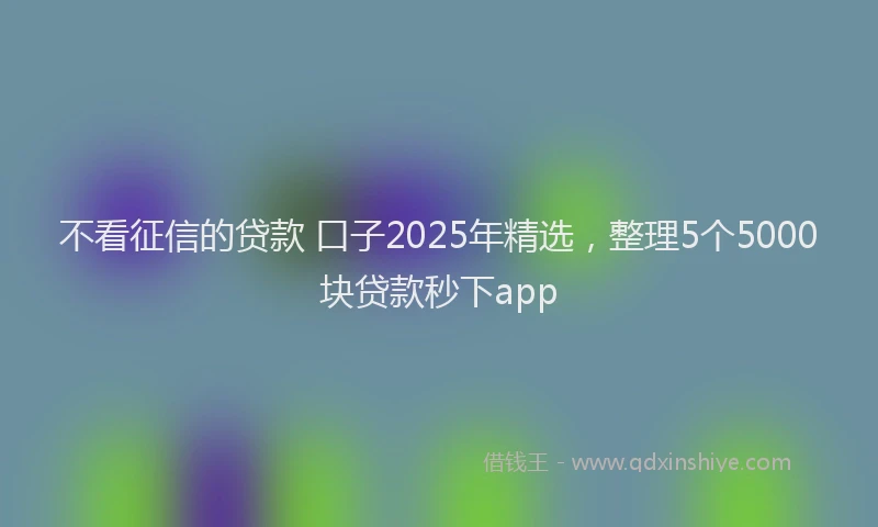 不看征信的贷款 口子2025年精选，整理5个5000块贷款秒下app