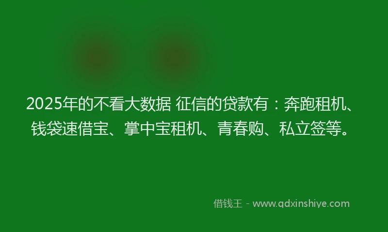 2025年的不看大数据 征信的贷款有：奔跑租机、钱袋速借宝、掌中宝租机、青春购、私立签等。