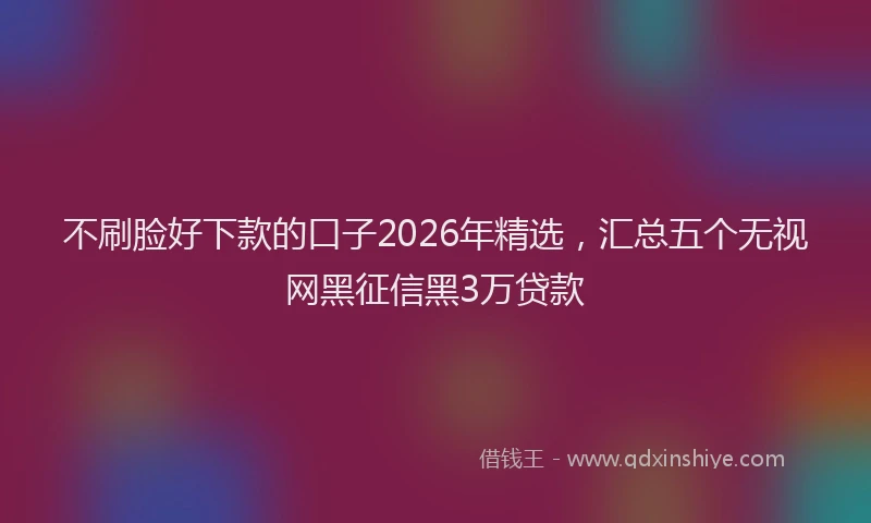 不刷脸好下款的口子2026年精选，汇总五个无视网黑征信黑3万贷款