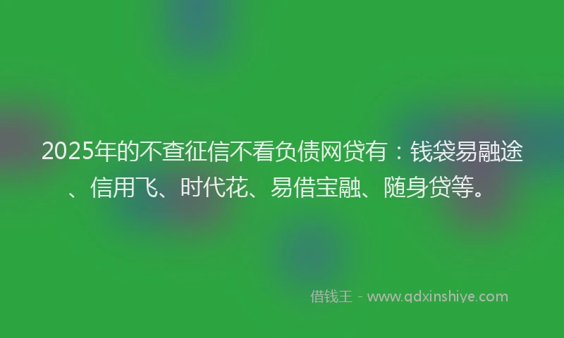 2025年的不查征信不看负债网贷有：钱袋易融途、信用飞、时代花、易借宝融、随身贷等。