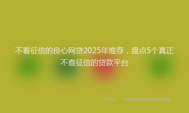 不看征信的良心网贷2025年推荐，盘点5个真正不查征信的贷款平台