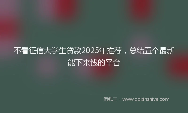 不看征信大学生贷款2025年推荐，总结五个最新能下来钱的平台