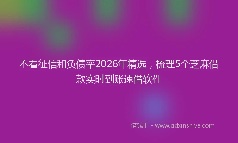 不看征信和负债率2026年精选,梳理5个芝麻借款实时到账速借软件