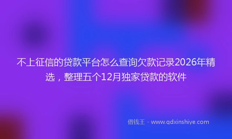 不上征信的贷款平台怎么查询欠款记录2026年精选，整理五个12月独家贷款的软件