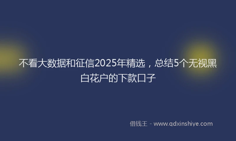 不看大数据和征信2025年精选，总结5个无视黑白花户的下款口子