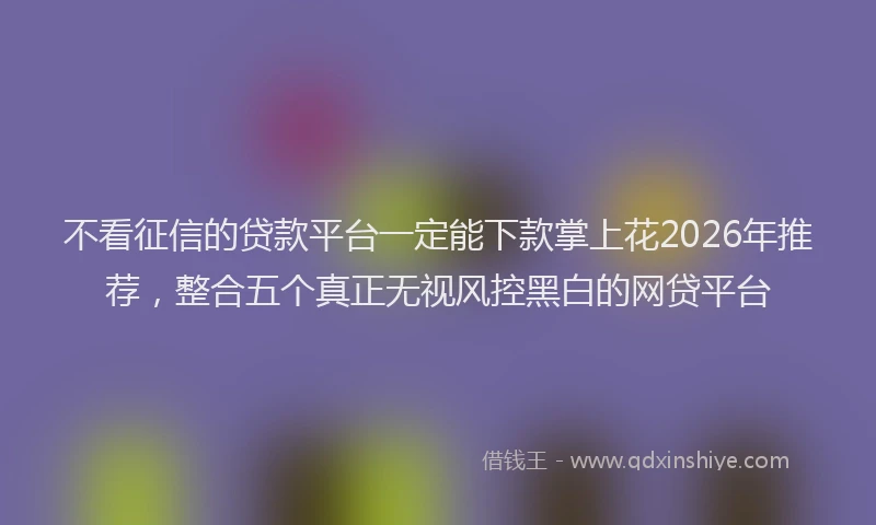 不看征信的贷款平台一定能下款掌上花2026年推荐,整合五个真正无视风控黑白的网贷平台